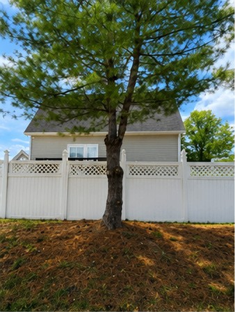 Fresh mulch bed around pine