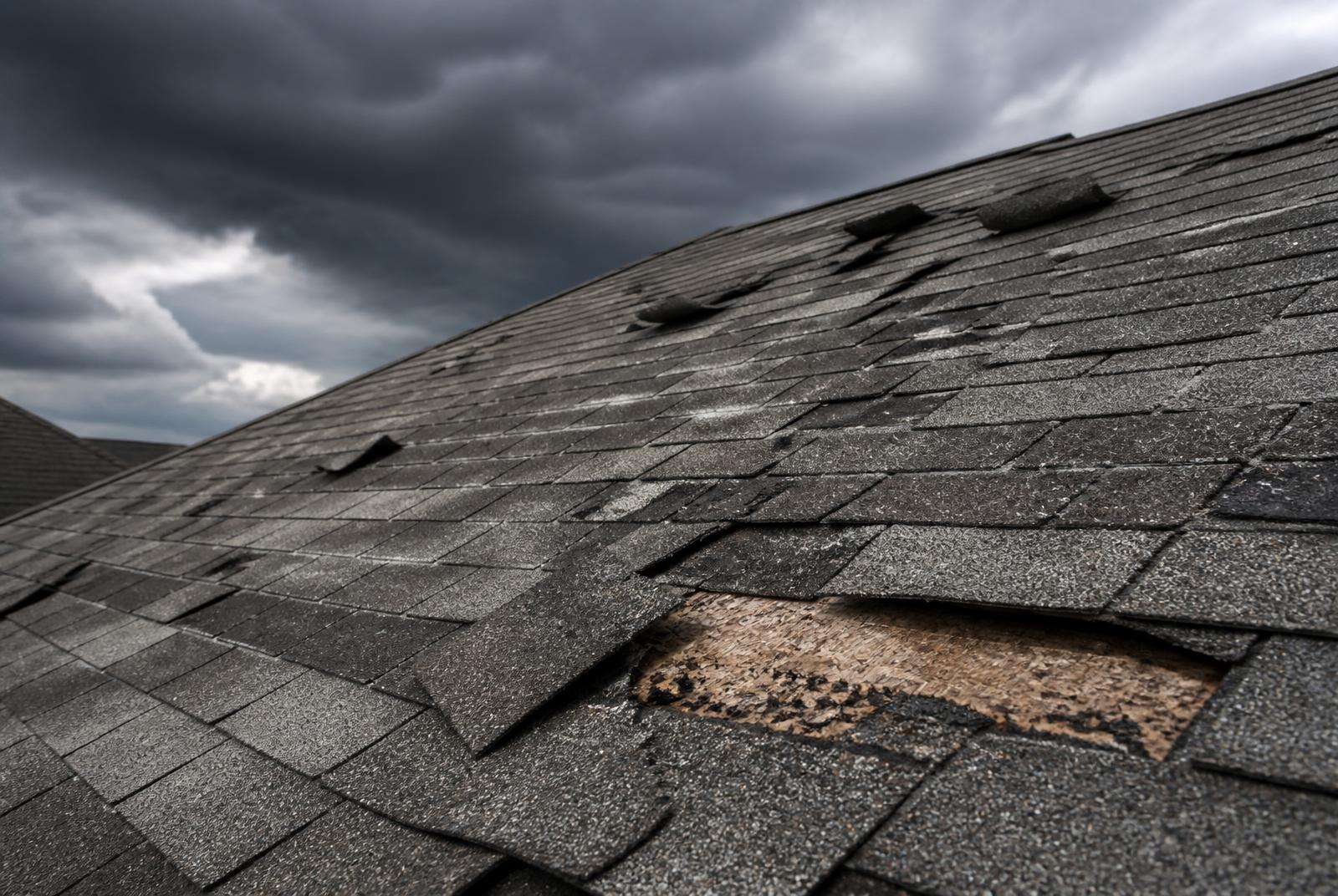 Storm damaged shingles documented during a roof inspection